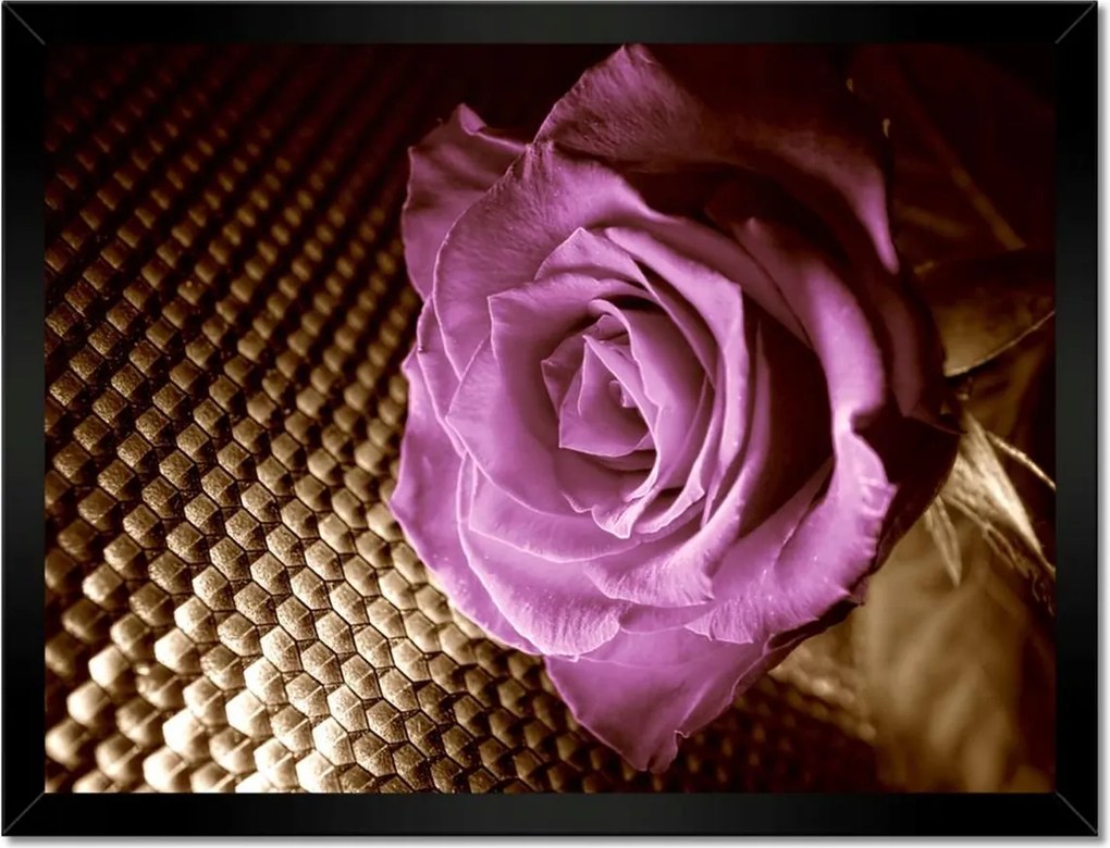 Poszter keretben 40x30 Rózsa Lila és szépia