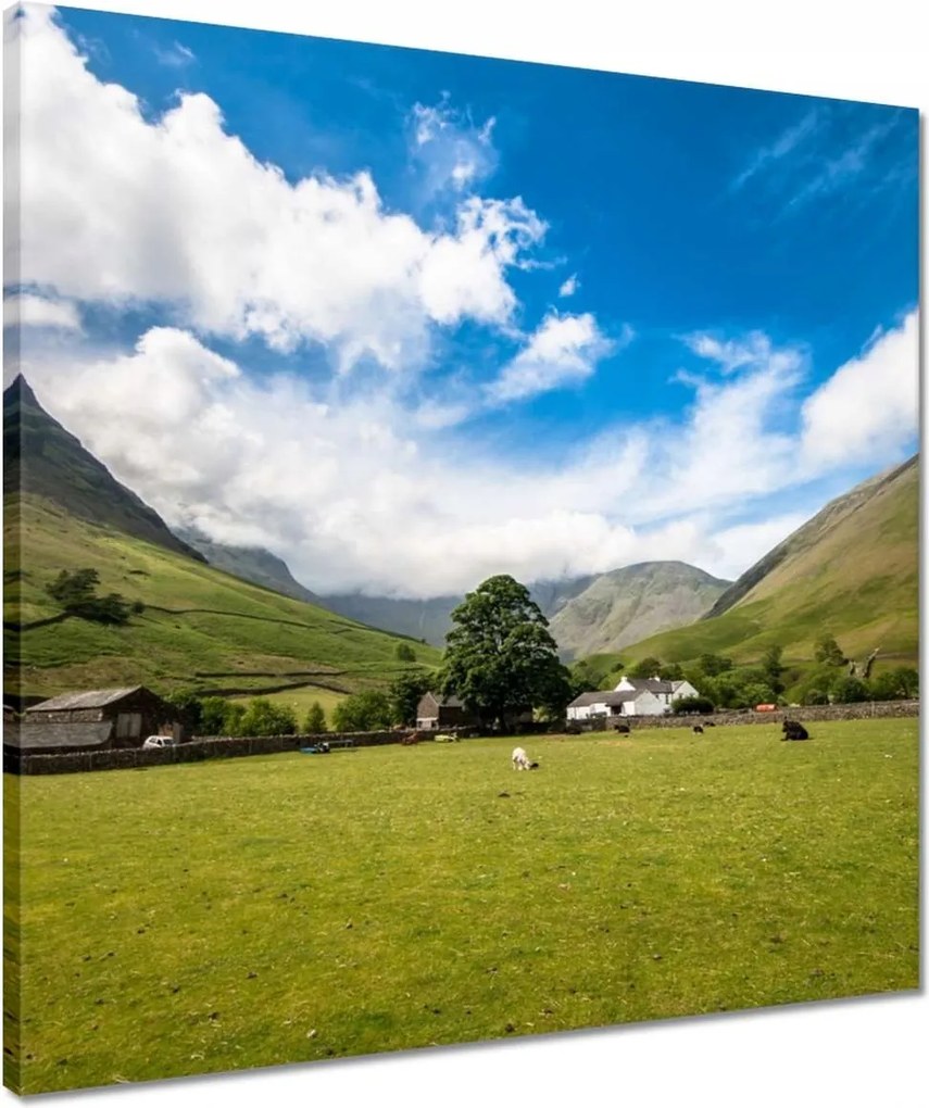 Vászonkép 50x50 Juh legeltetés