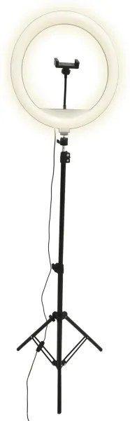 LED Dimmelhető lámpa állvánnyal és tartóval a vlogozáshoz LED/15W/5V 2700-6500K