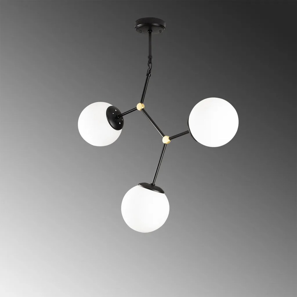 Damar - 6316