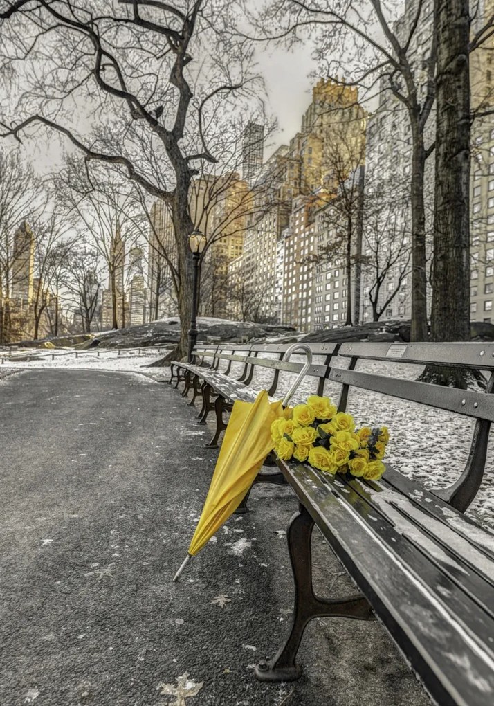 Poszter 70x100cm Egy csokor sárga virág és egy esernyő a park padján, Assaf Fr