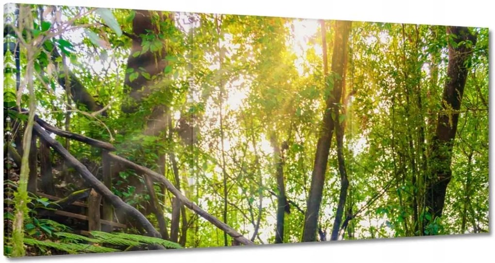 Festmények 120x60 Gyalogtúra