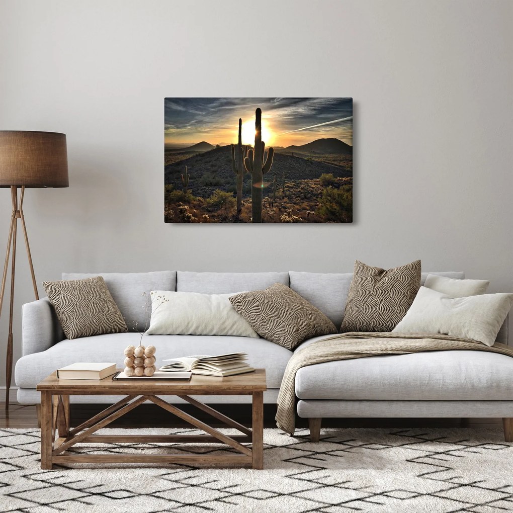 Kép - kaktuszok a napon (90x60 cm)
