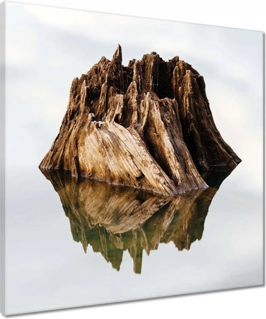 Vászonkép 50x50 Sziget a tavon