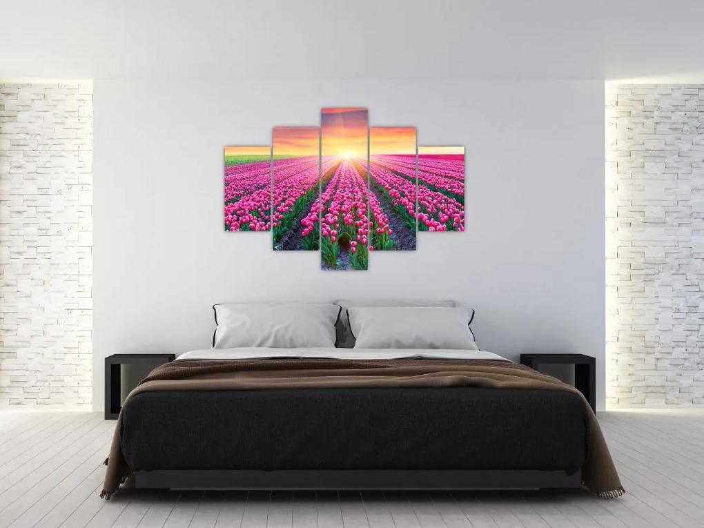 Tulipán mező és a nap képe (150x105 cm)