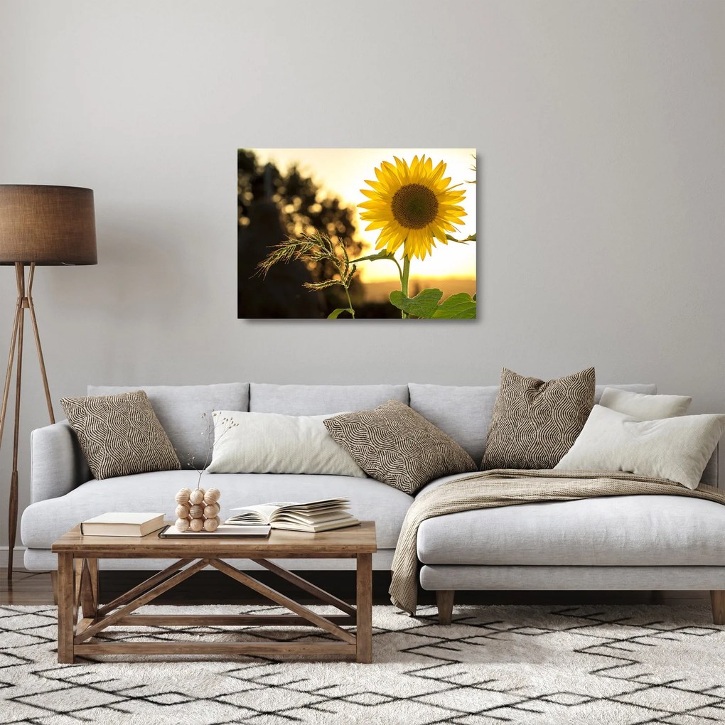 Napraforgó képe (üvegen) (70x50 cm)