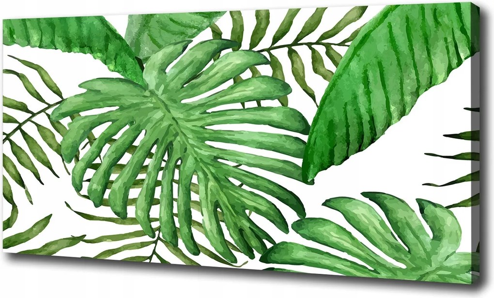 Vászonkép Trópusi levelek 100x70 cm