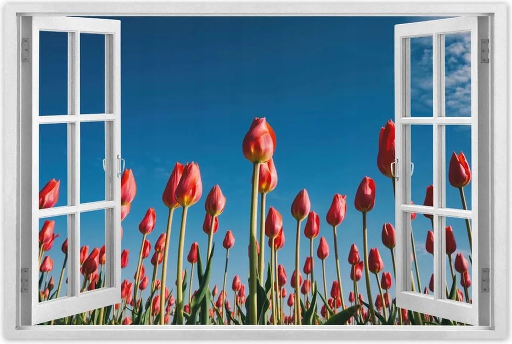 Poszterek 60x40 Tulipánok Tájkép Tulipánok