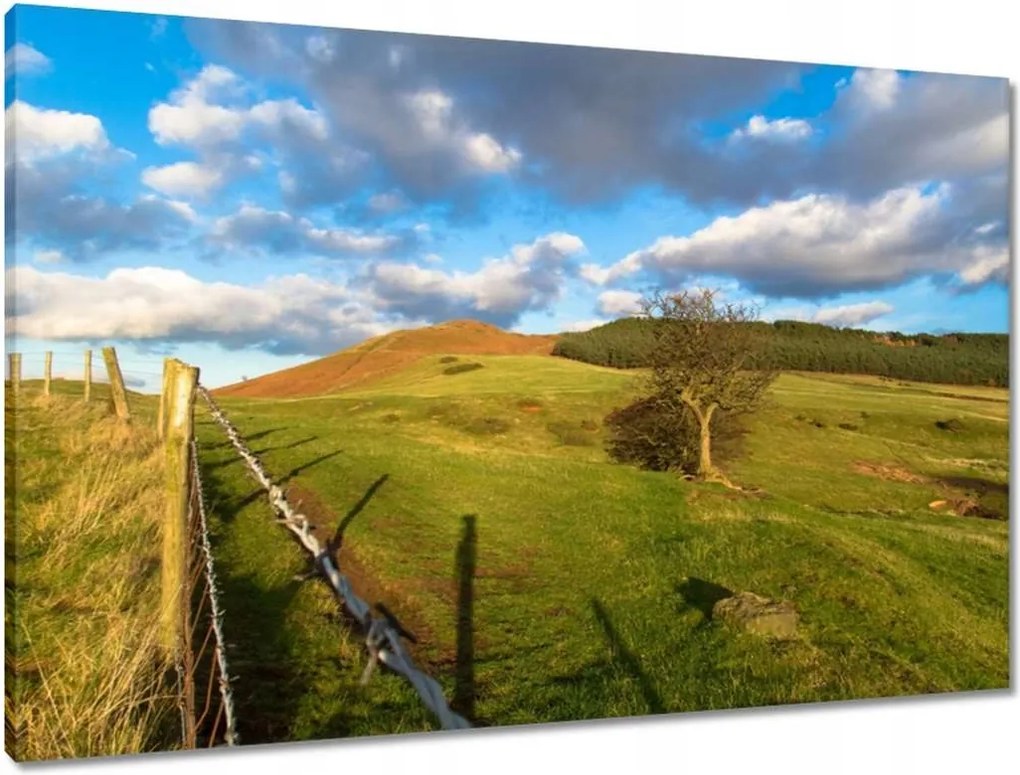 Vászonkép 90x60 Tájkép réttel