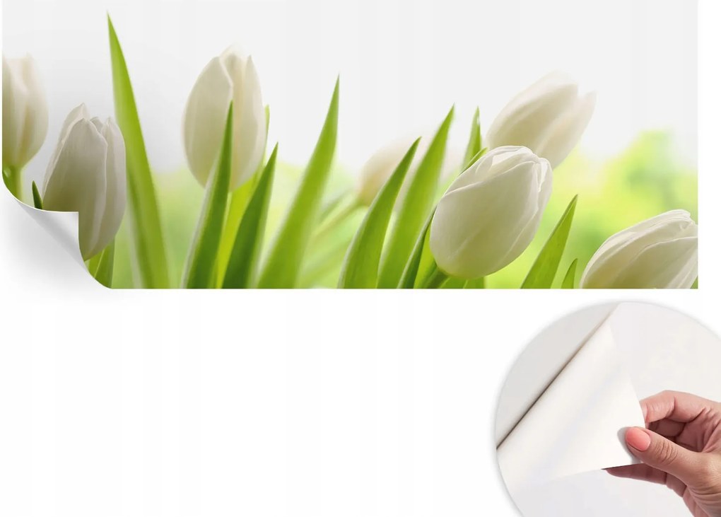 Dekoratív Öntapadós Tapéta Divatos Minták Fehér tulipánok 250x104 cm