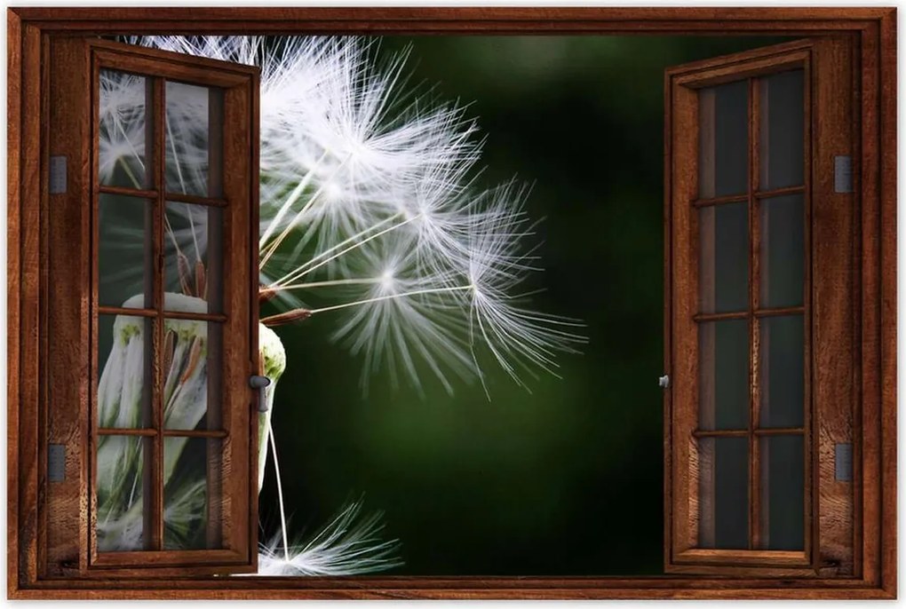 Poszterek 60x40 Pitypang Virág Virágok