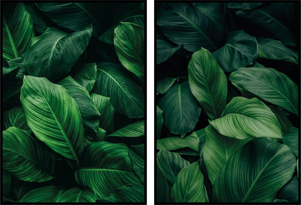 2 Botanikus poszter 50x70cm zöld levelek növény poszter fali szett