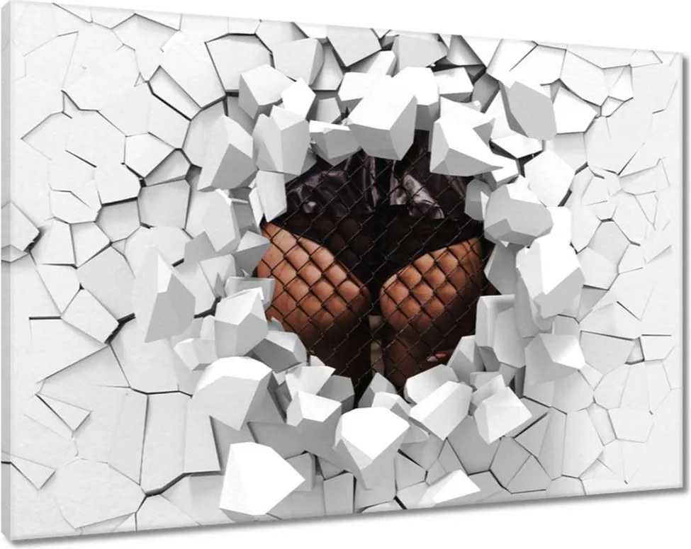 Vászonkép 60x40 Formás popsi a rács mögött