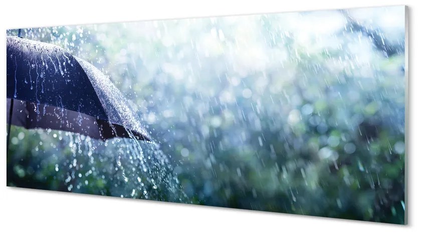 Akrilkép Esernyő eső esik 100x50 cm