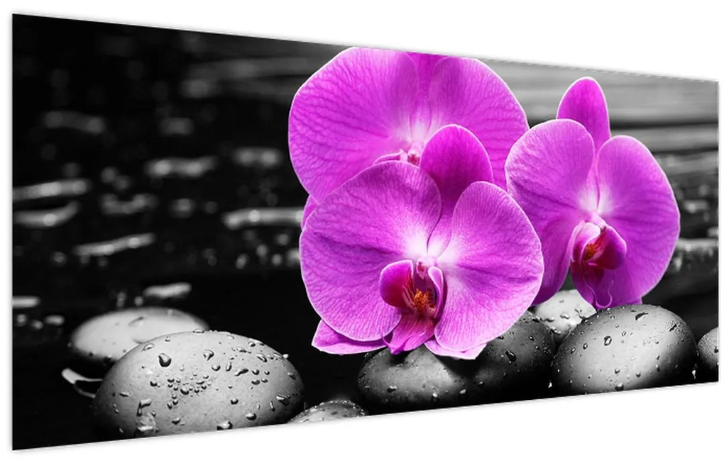 Kép - Lila orchideák (120x50 cm)