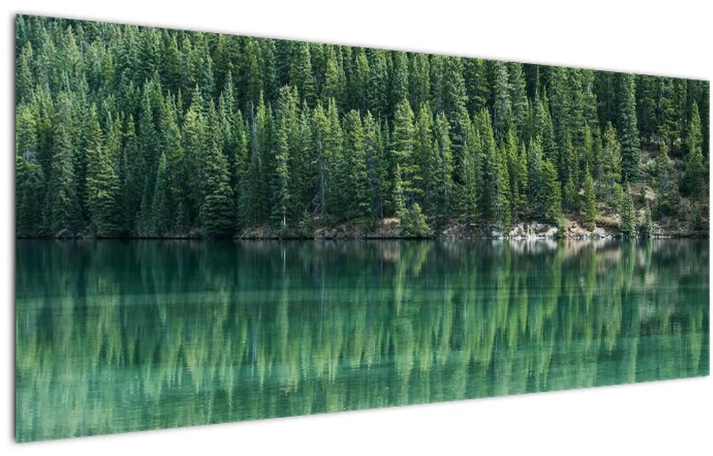 Kép - Tűlevelű a tónál (120x50 cm)