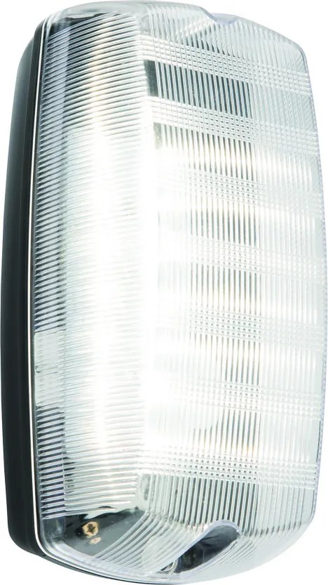 ENDON 91238 AVIT Modern Kültéri Fali Lámpa Fekete, Átlátszó LED IP44
