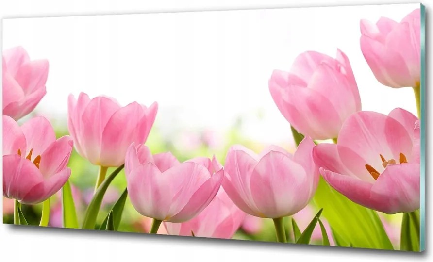 nagy kép 100x50 plexi a nappaliba Rózsaszín tulipánok