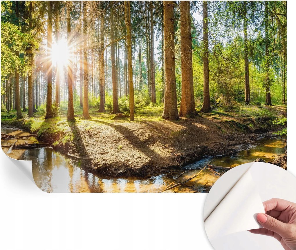 Fotótapéta Dekoratív Fali Tapéta Erdei idill 104x70