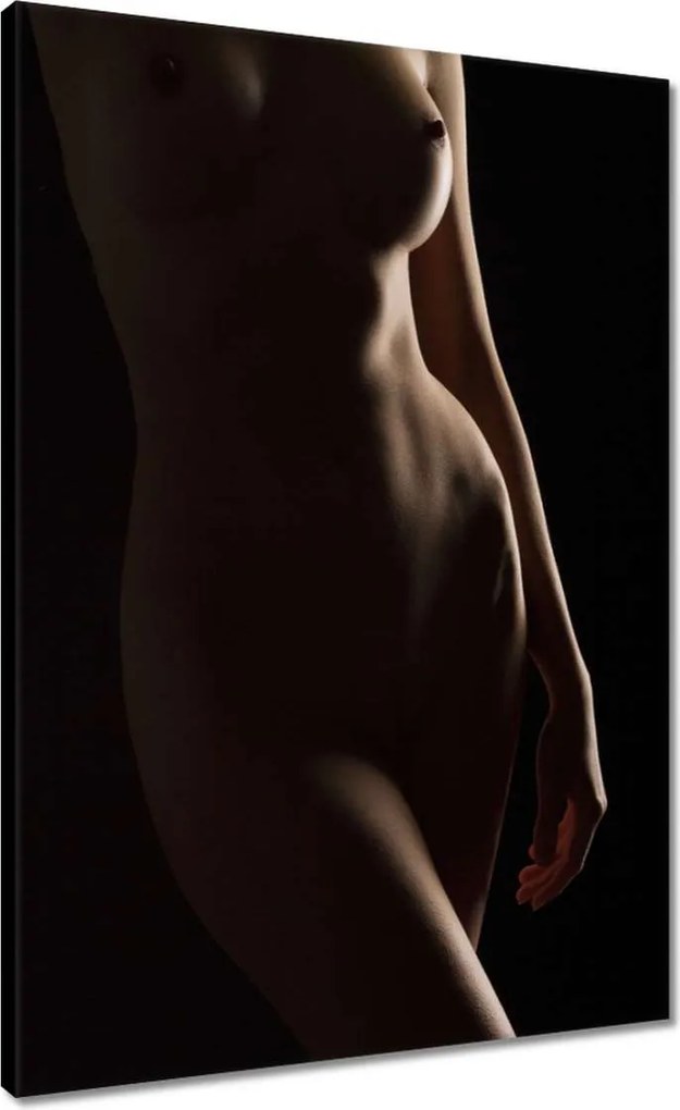 Vászonkép 50x70 Természetes szépség Érzéki éjszakai tekintet