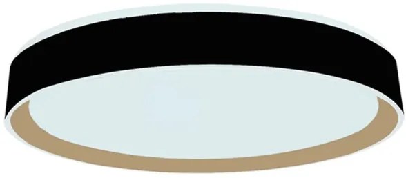 LED Dimmelhető mennyezeti lámpa hangvezérléssel OPAL LED/48W/230V + távirányító