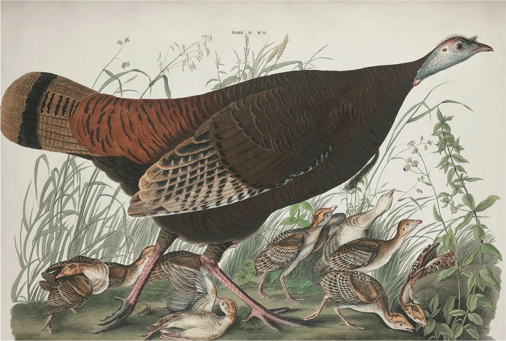 Flizelina Dekoratív Fotótapéta Hálószobába Természetes harmónia 104x70 Ragasztó