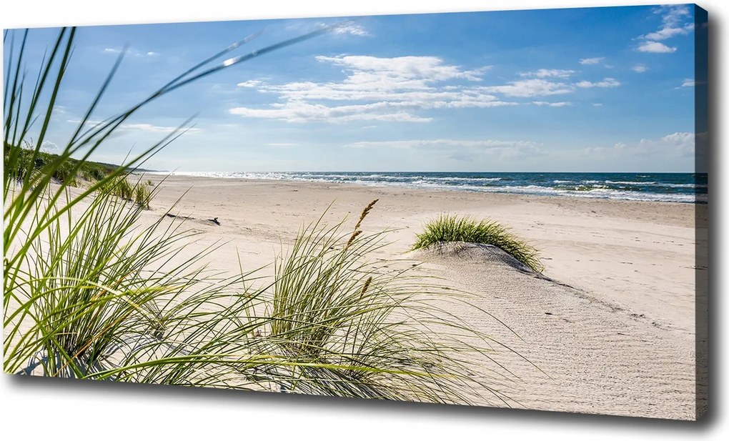 Vászonkép Fagyos tengerpart 100x50 cm