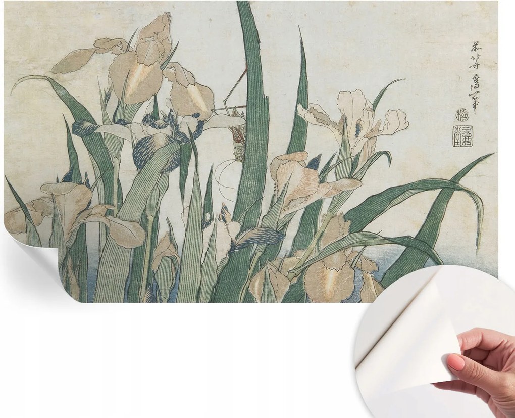 Mosható öntapadós fotótapéta étkezőbe Finom íriszek 416x254 cm