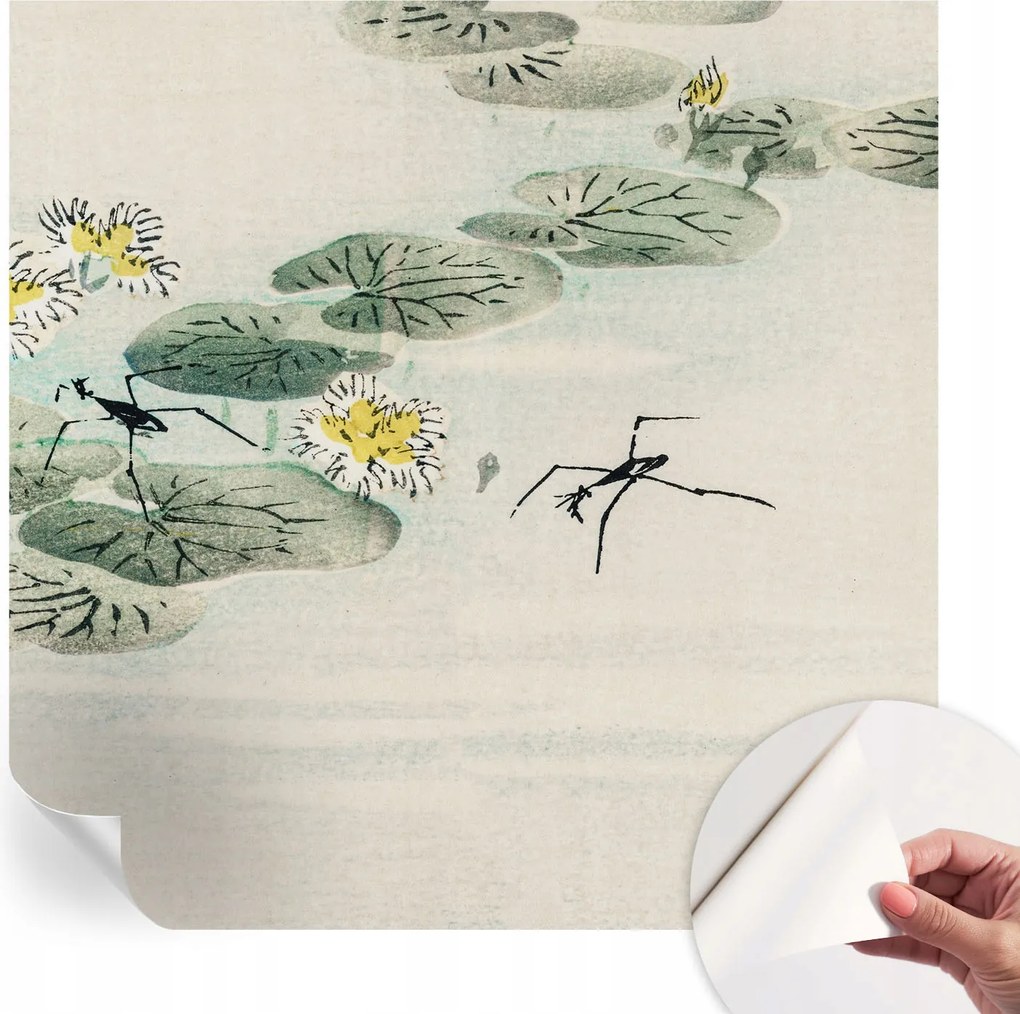 Öntapadós fotótapéta Nappaliba és Hálószobába Csendes víz 250x250