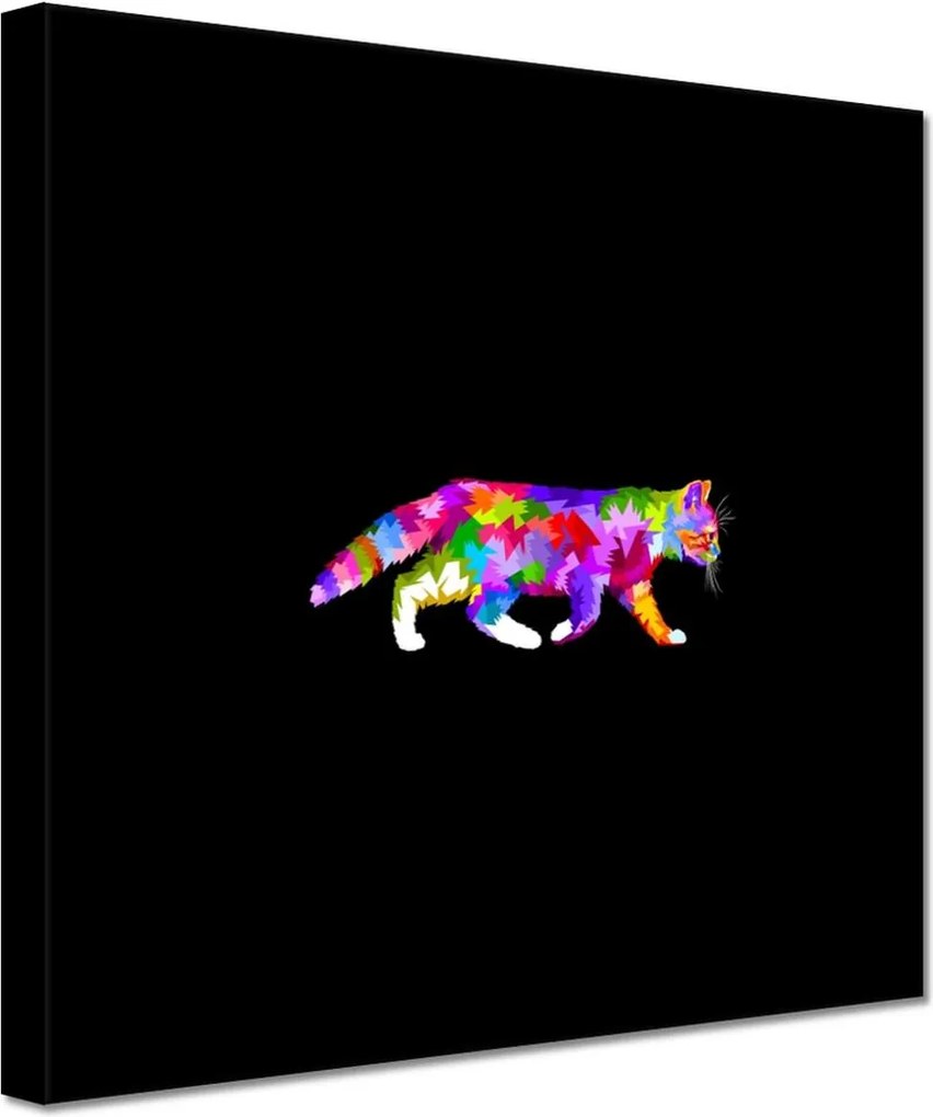 Vászonkép 60x60 Cica Cicák