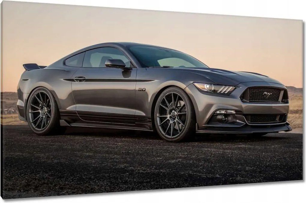 Képek 120x70 Ford Mustang made in Usa