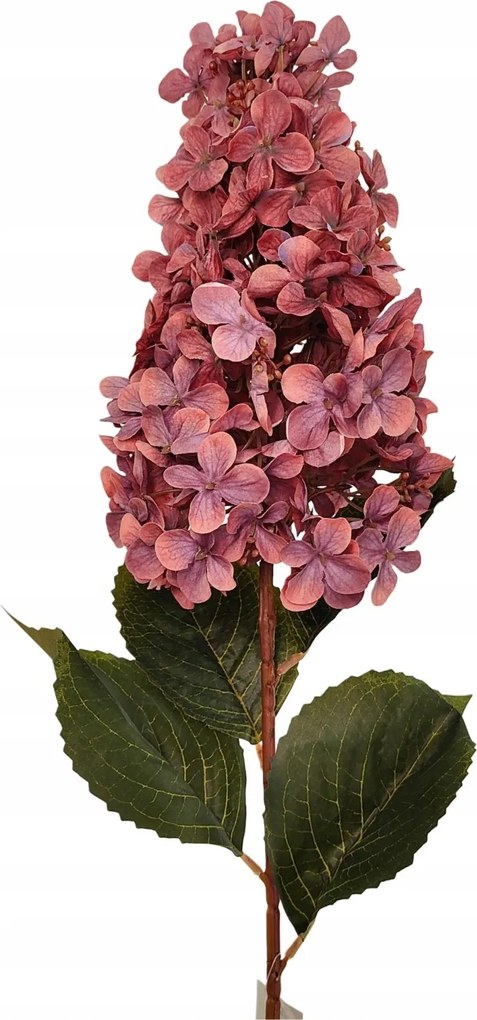 Hortenzia nagy ág málna lila