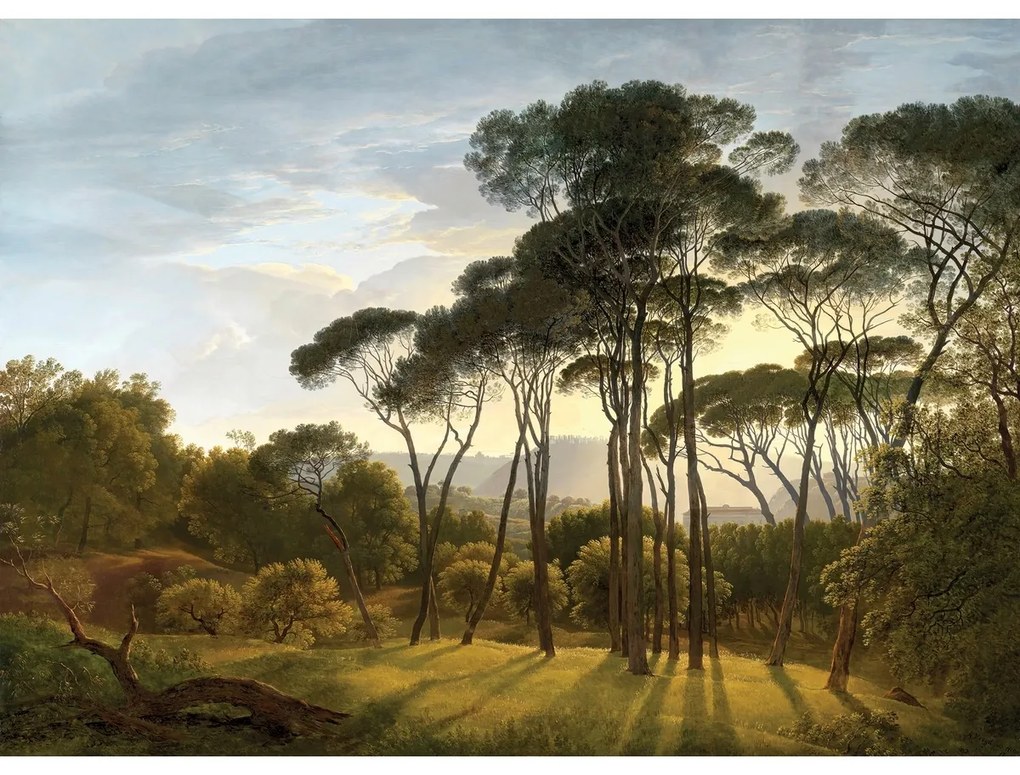 Fototapéta XXL Old Forest 360 x 254 cm, 4 részből