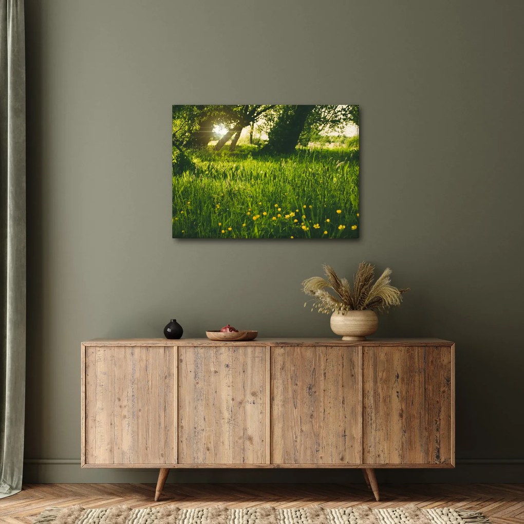 Tájkép - rét (70x50 cm)