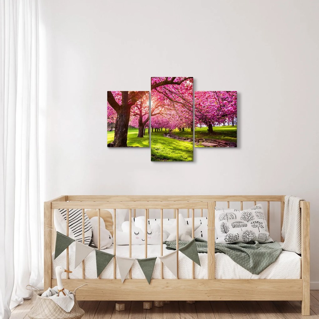 A virágzó cseresznye képe, Hurd Park, Dover, New Jersey (90x60 cm)