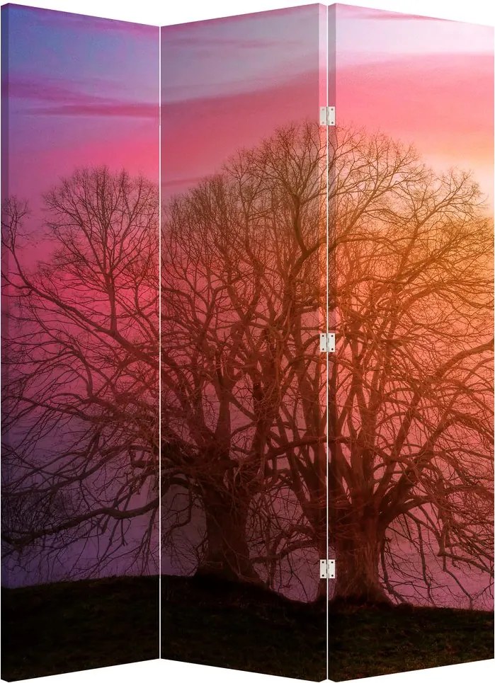 Paraván - Fák a ködben (126x170 cm)