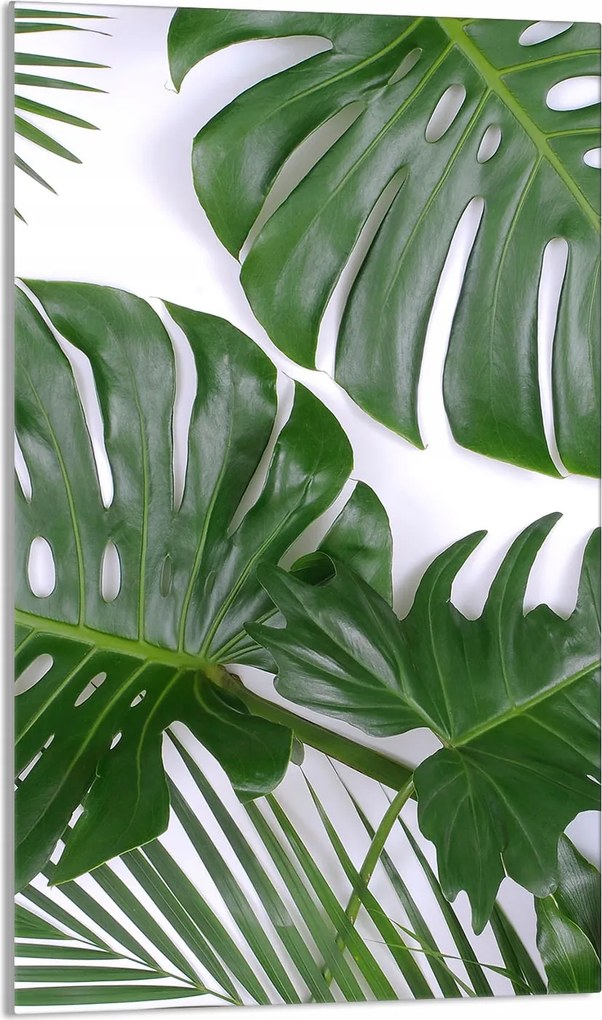 Üveg Vágódeszka 30x52 Monstera Konyhába