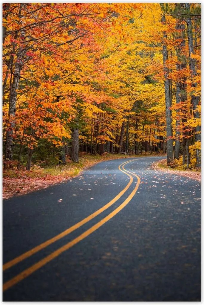 Poszterek 60x90 Tájkép Látvány