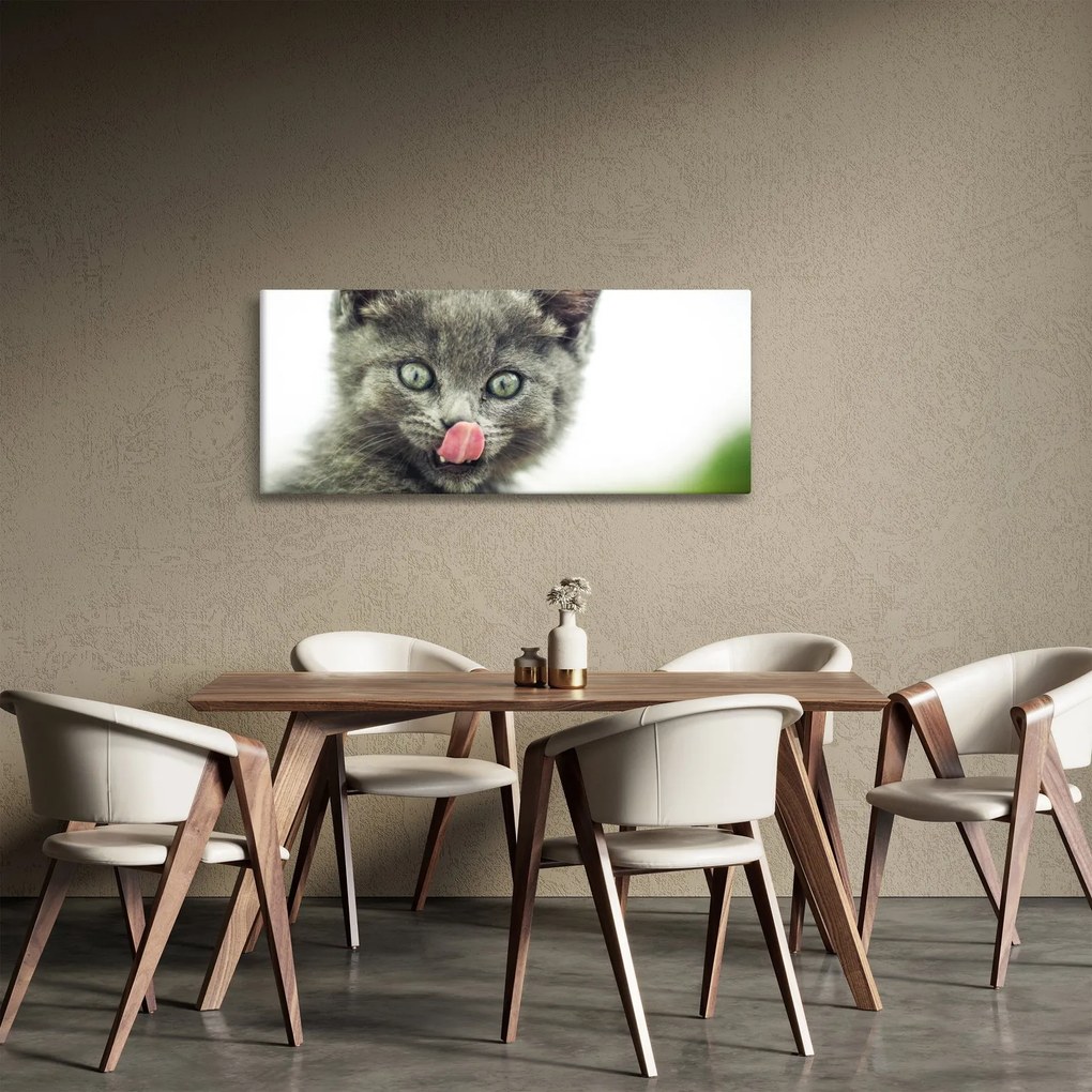 Nyaló cica képe (120x50 cm)