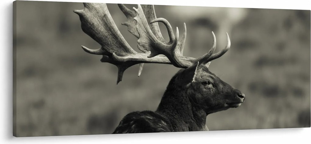 Kép - Szarvas (120x50 cm)