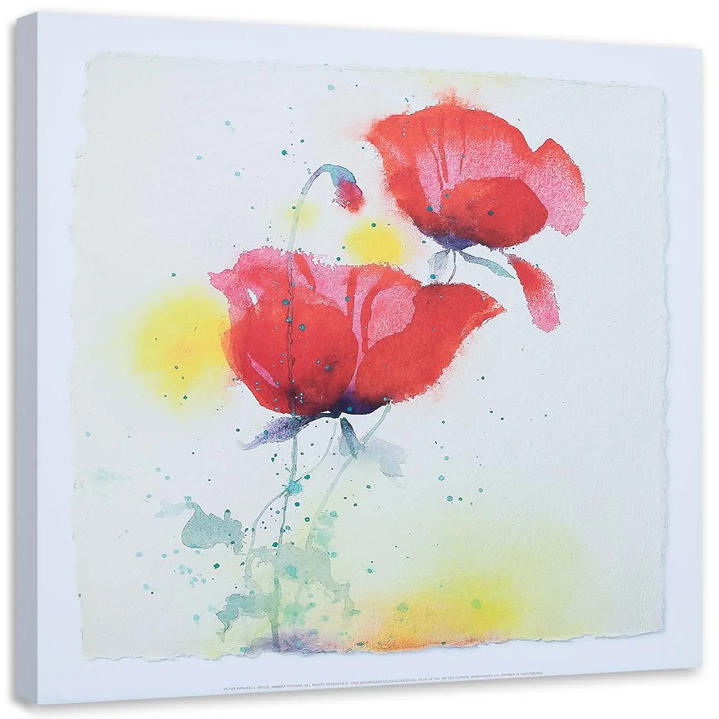 Gario Vászonkép Mint a kézzel festett két pipacs Méret: 30 x 30 cm