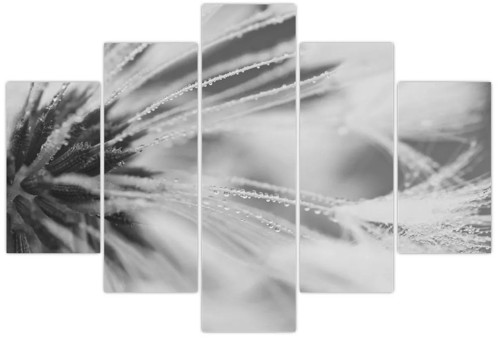 Kép - Pitypang (150x105 cm)