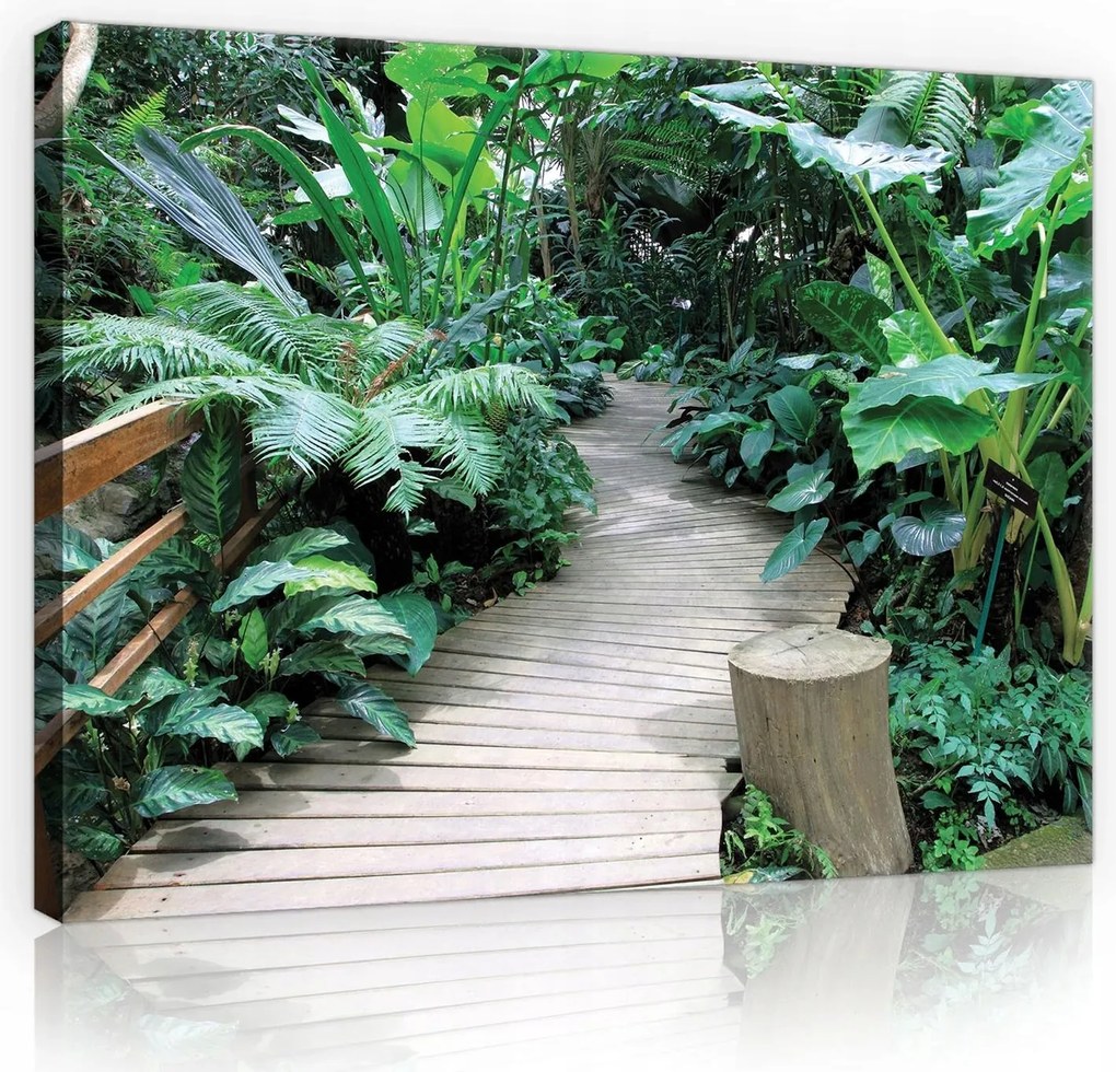 Vászonkép falikép zöld barna fa ösvény