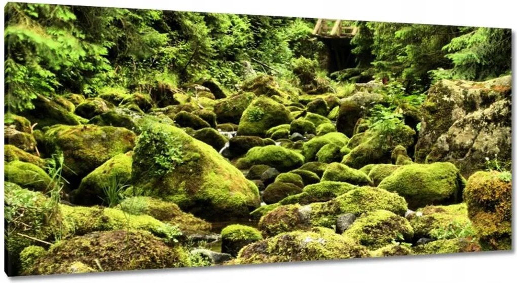 Képek 115x55 Tátra Lengyel hegyek Kilátás