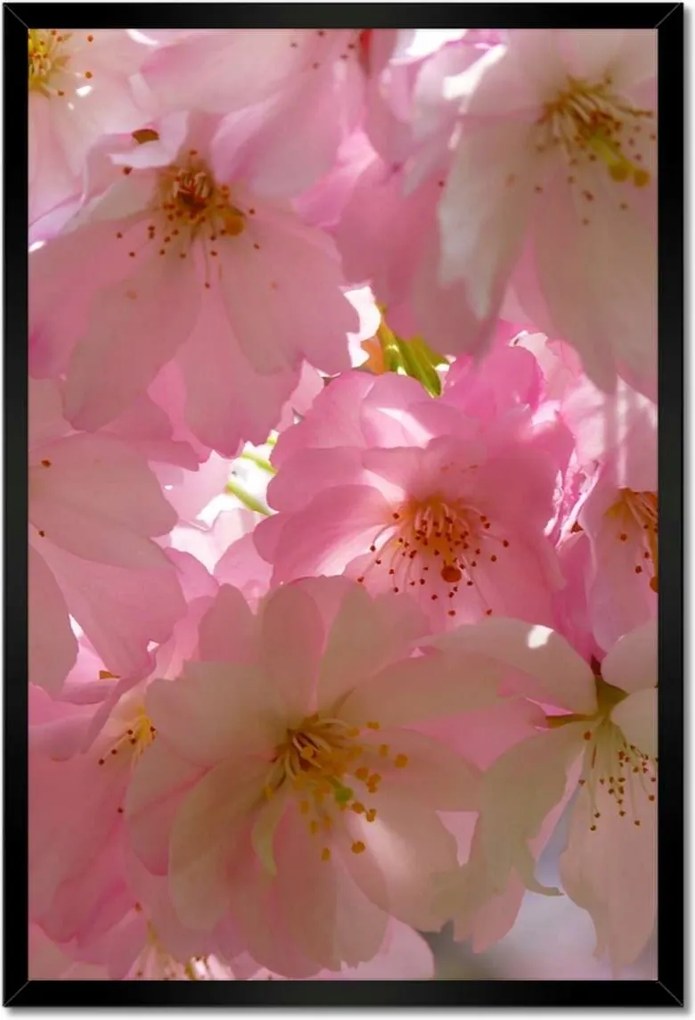 Poszterek keretben 40x60 Finom virágok