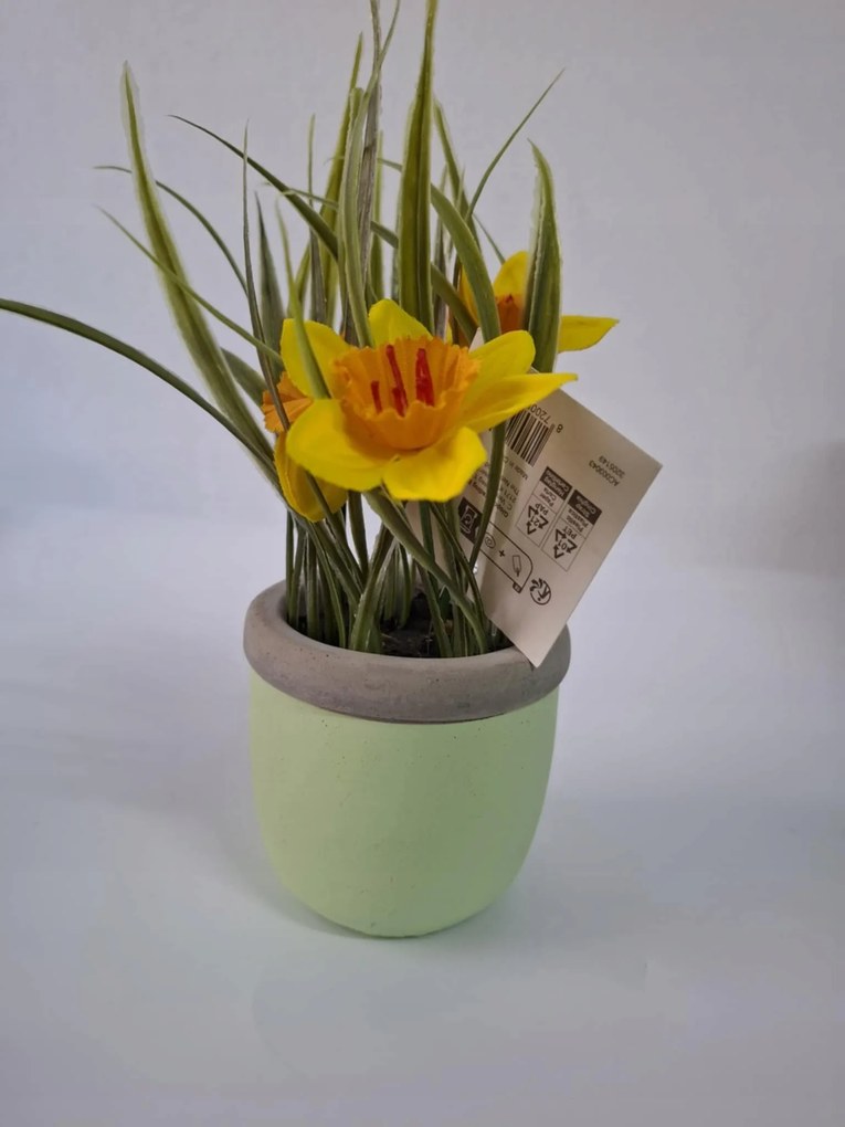 Tavaszi-nyári művirág Nárcisz kerámia kaspóban 20 cm