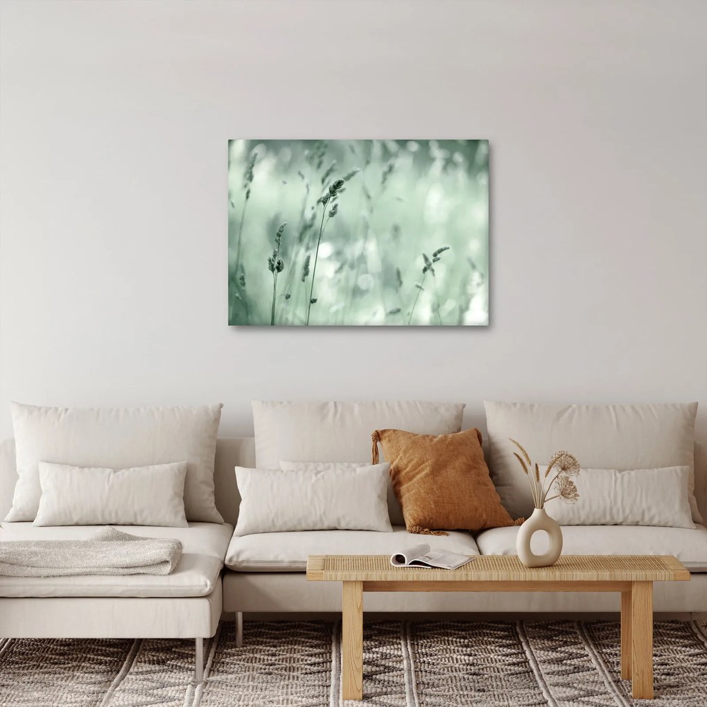 Kép - Zöld rét (70x50 cm)