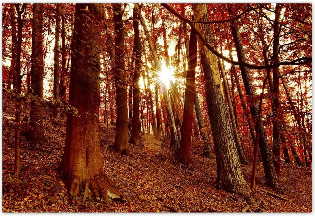 Poszterek 200x135 Tájkép Látvány