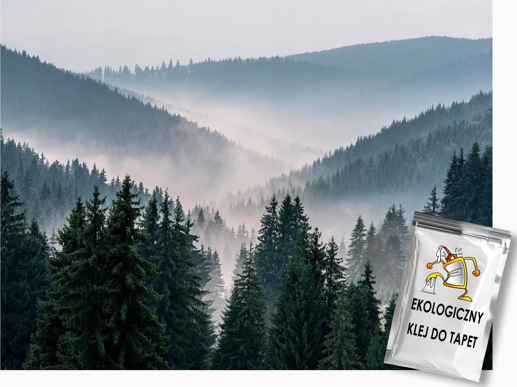 Fotótapéta Flizelina Tájkép Hegyek Erdő Fák Köd 200x140 ragasztó