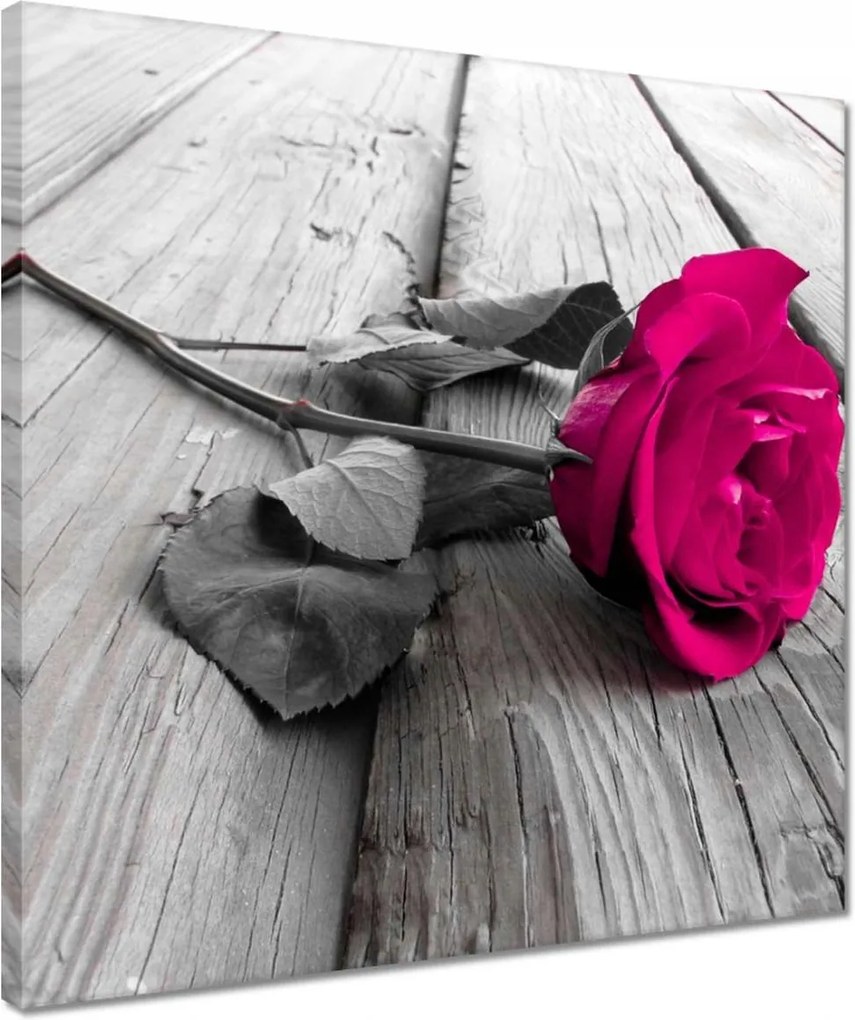 Vászonkép 40x40 Gyönyörű rózsa a hídon